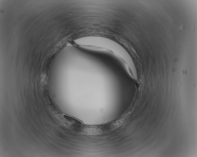 X0000083970521200703161534