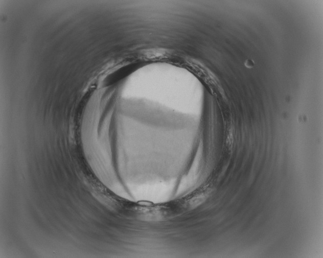 X0000083970524200703161534