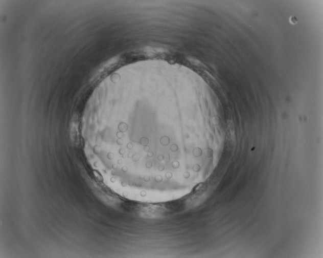 X0000083970527200703161534