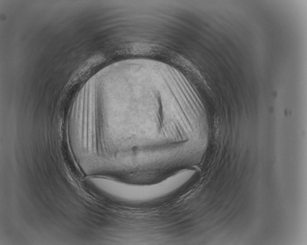 X0000083970542200703161534