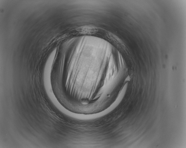 X0000083970554200703161534