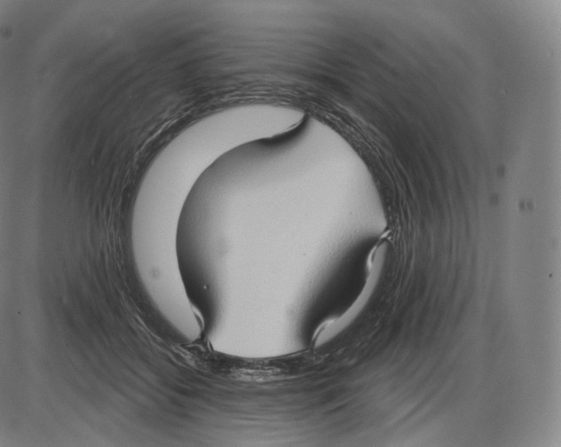 X0000083970556200703161534