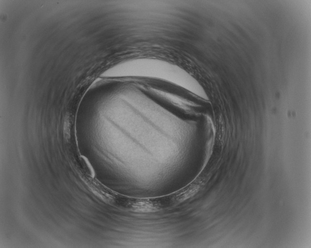 X0000083970562200703161534
