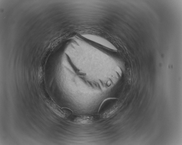 X0000083970563200703161534