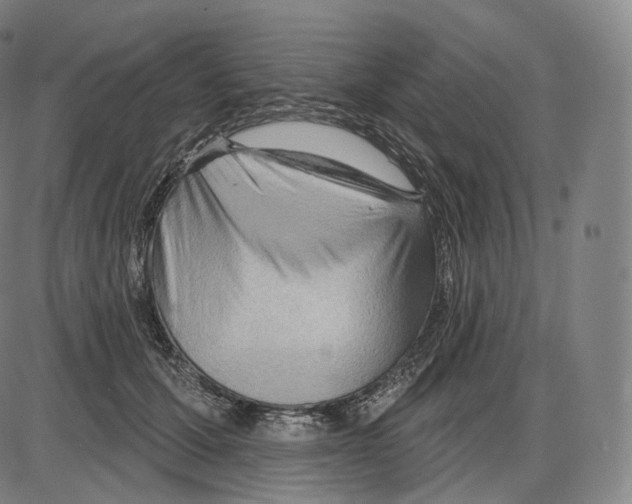 X0000083970607200703161533