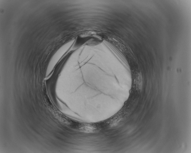 X0000083970610200703161533