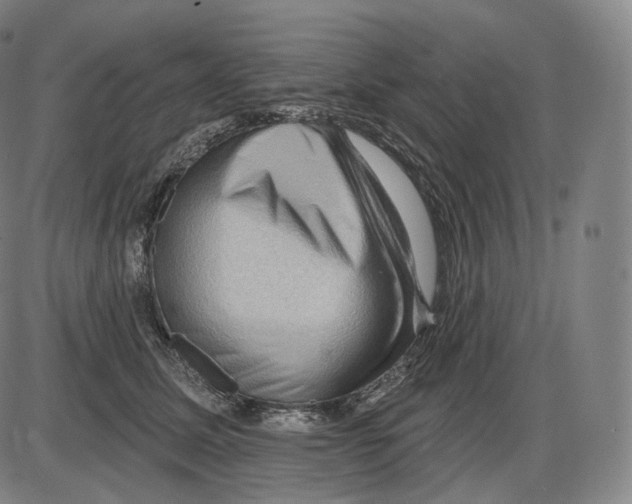 X0000083970611200703161533