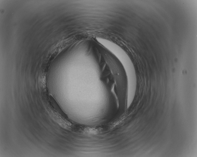 X0000083970613200703161533