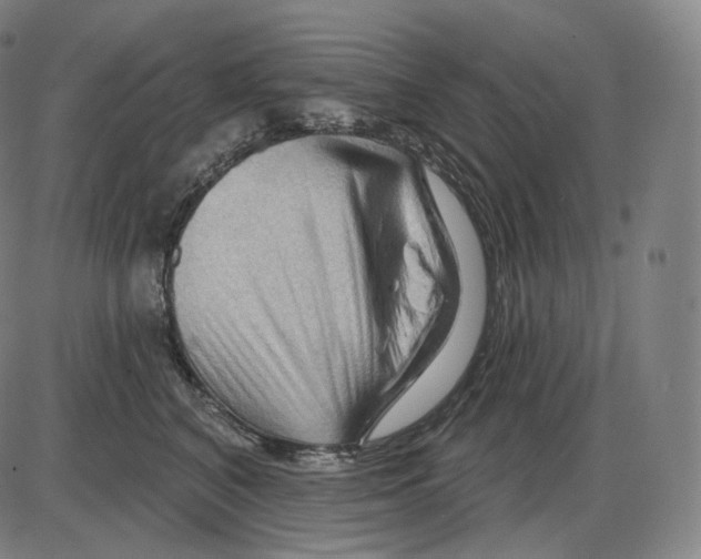 X0000083970616200703161533