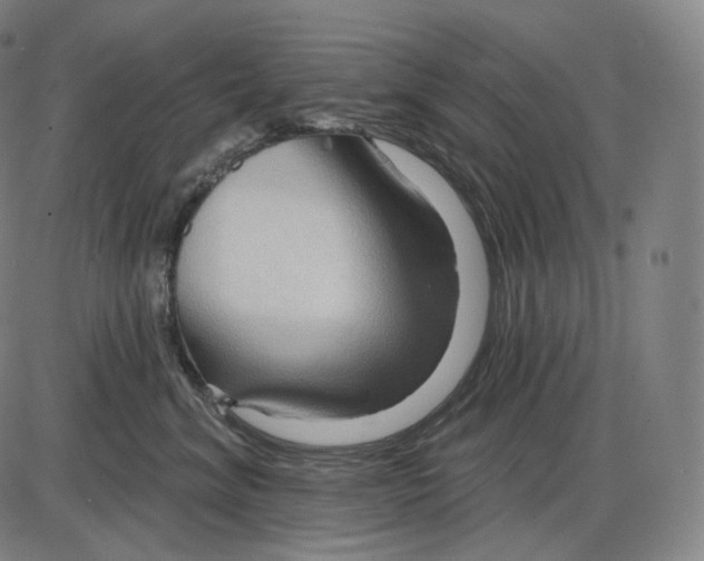 X0000083970620200703161533