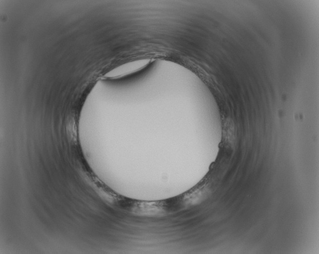 X0000083970622200703161533