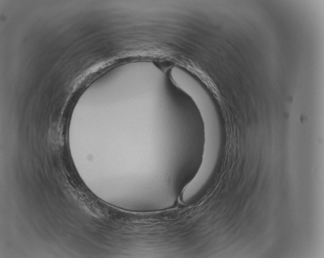 X0000083970628200703161532