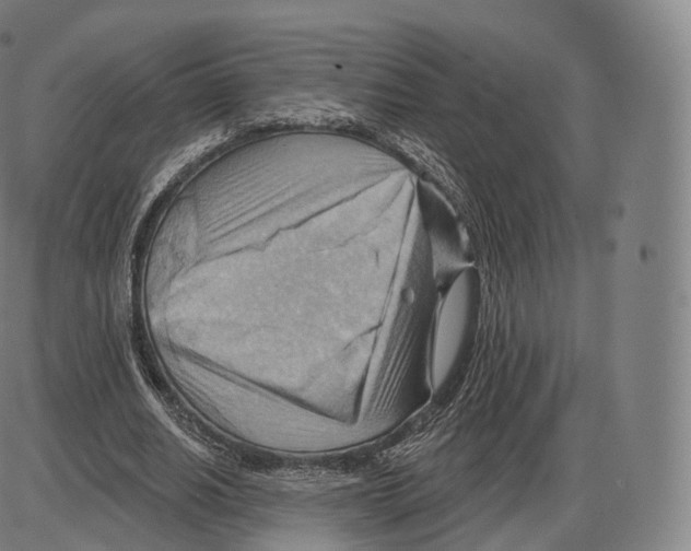 X0000083970630200703161532