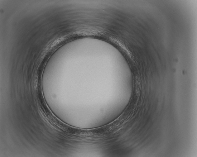 X0000083970631200703161532