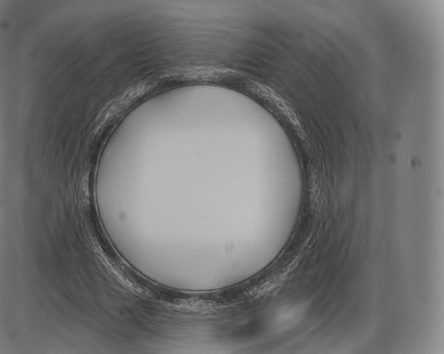 X0000083970633200703161532