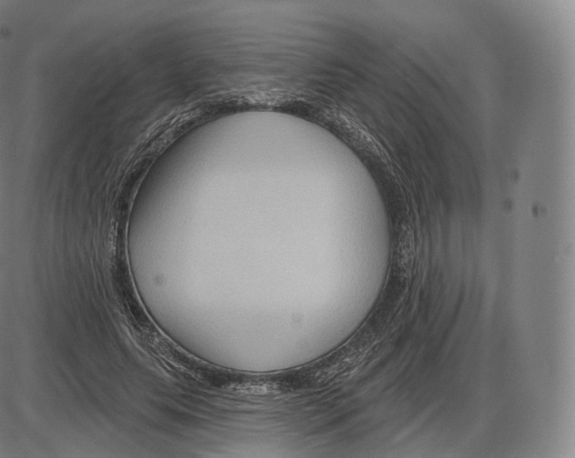 X0000083970639200703161532