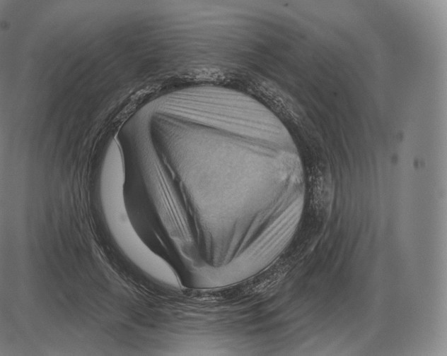 X0000083970643200703161532