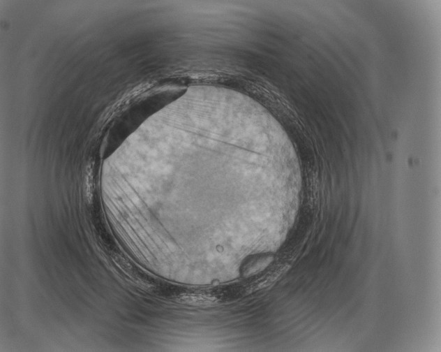 X0000083970644200703161532