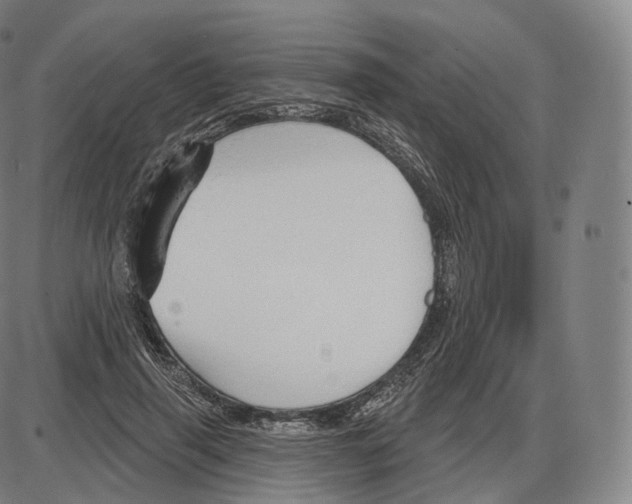 X0000083970645200703161532