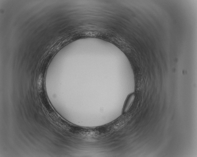 X0000083970646200703161532