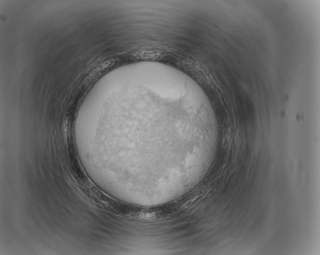 X0000083970647200703161532