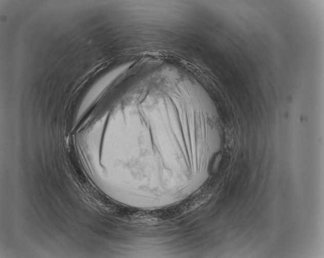 X0000083970648200703161532