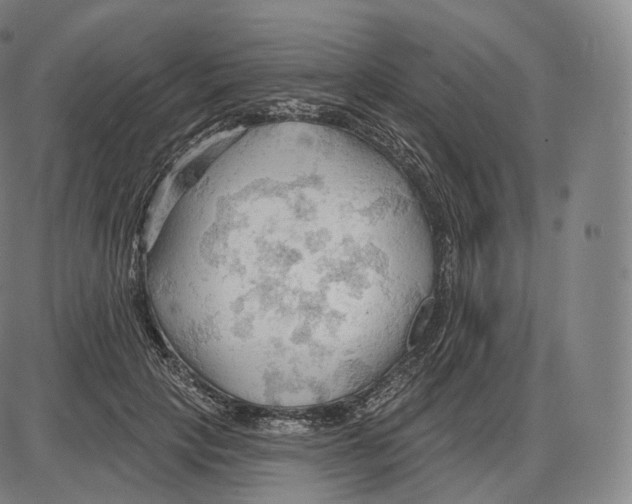 X0000083970649200703161532