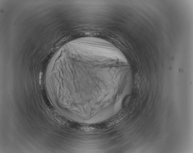 X0000083970650200703161532