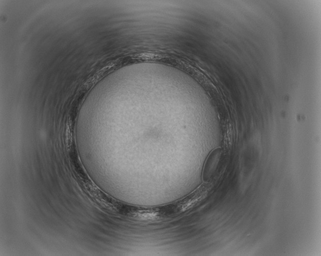 X0000083970651200703161532