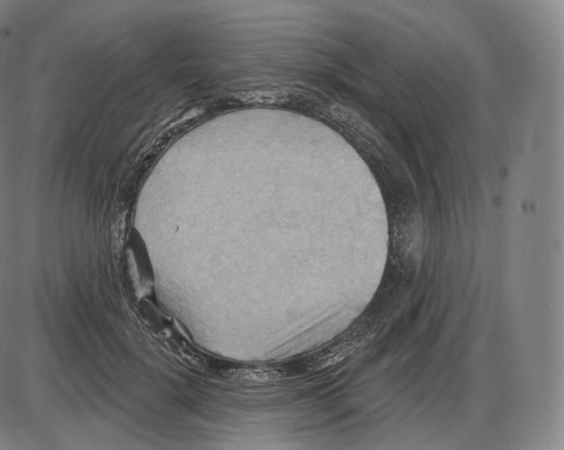 X0000083970652200703161532