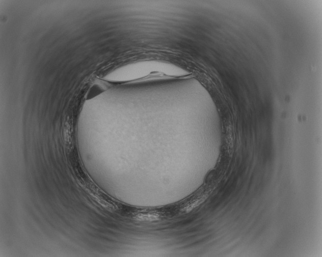 X0000083970653200703161532