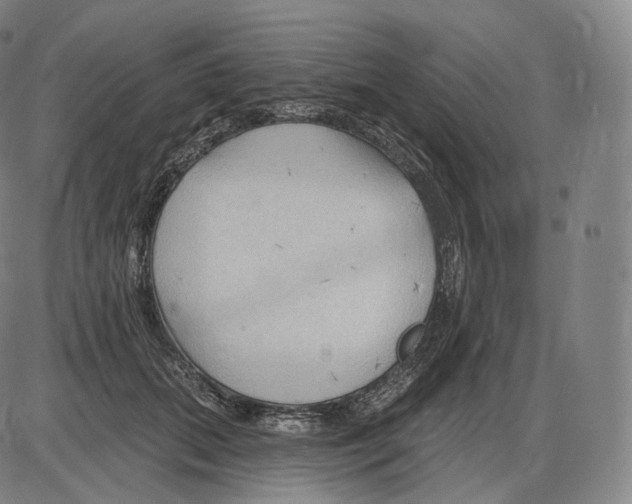 X0000083970655200703161532