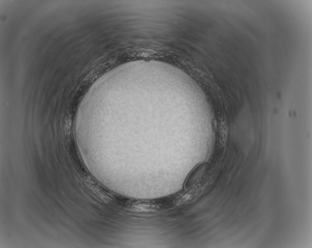 X0000083970657200703161532