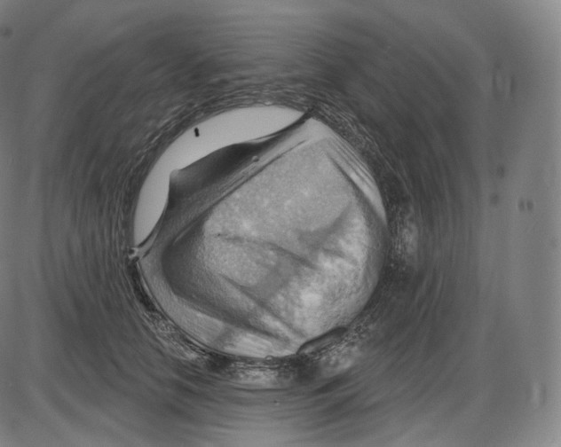 X0000083970658200703161532