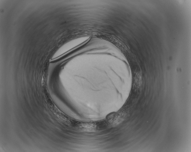 X0000083970659200703161532