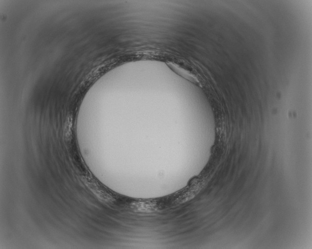 X0000083970660200703161532