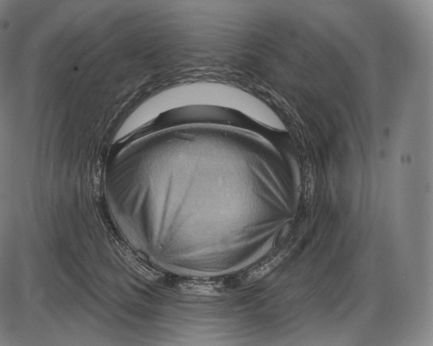 X0000083970661200703161532