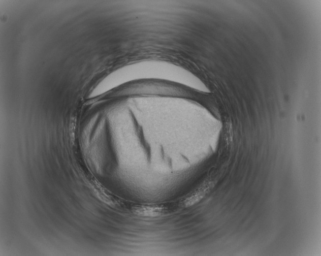 X0000083970664200703161533