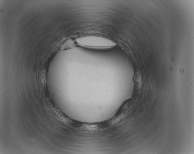 X0000083970665200703161533