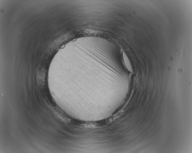 X0000083970668200703161533