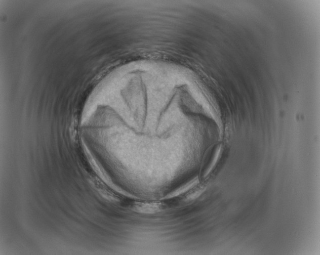 X0000083970671200703161533