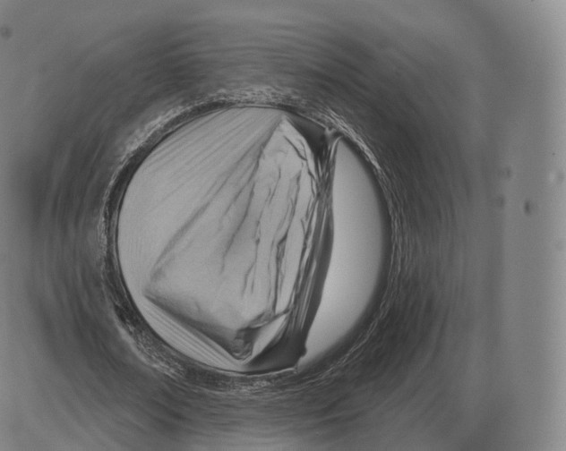 X0000083970674200703161532