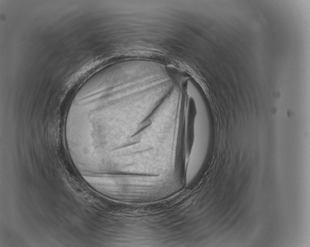 X0000083970675200703161532