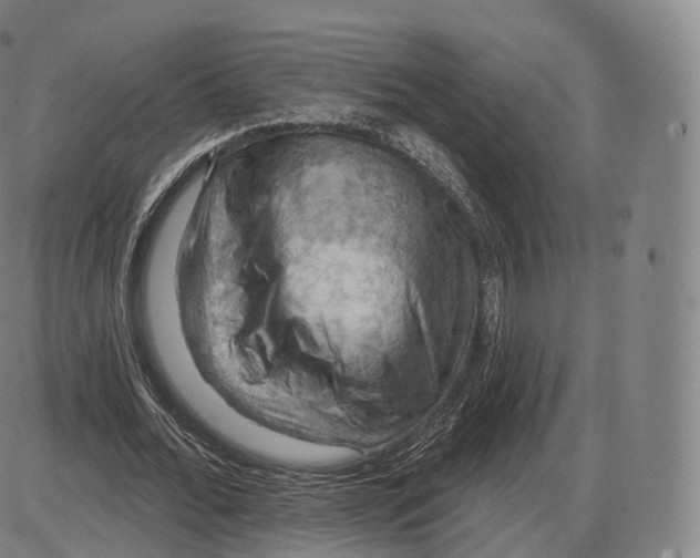 X0000083970676200703161532