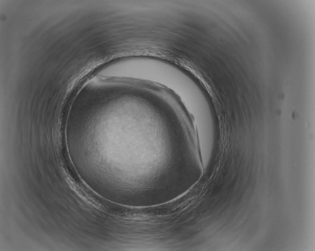 X0000083970677200703161532