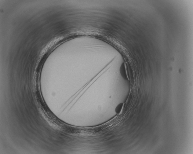 X0000083970678200703161532