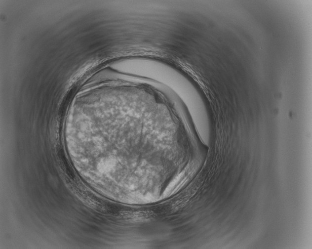 X0000083970679200703161532