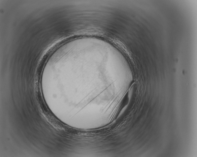 X0000083970680200703161532