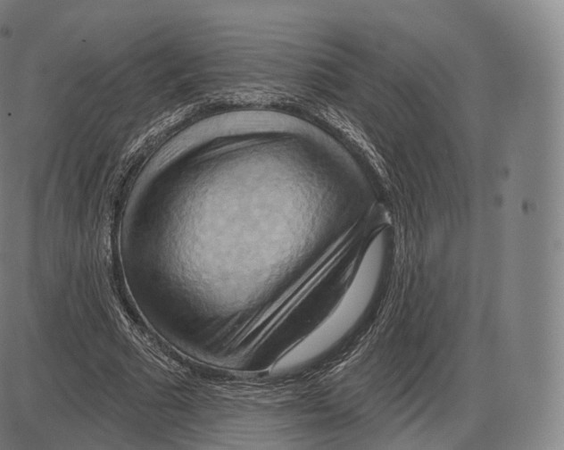 X0000083970681200703161532