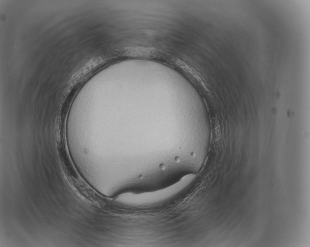 X0000083970682200703161532